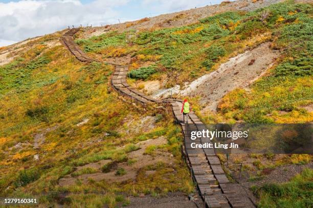 rear view of man hiking in mountain karamatsudake, nagano, japan - overmountain victory national historic trail stock pictures, royalty-free photos & images