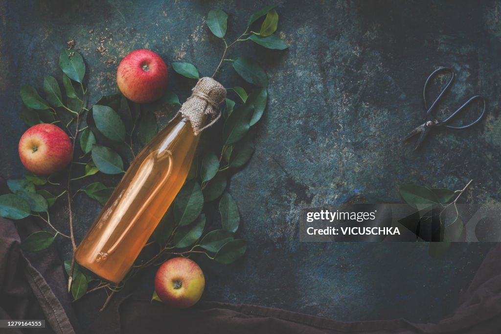 Homemade apple cider vinegar on dark rustic background with apples