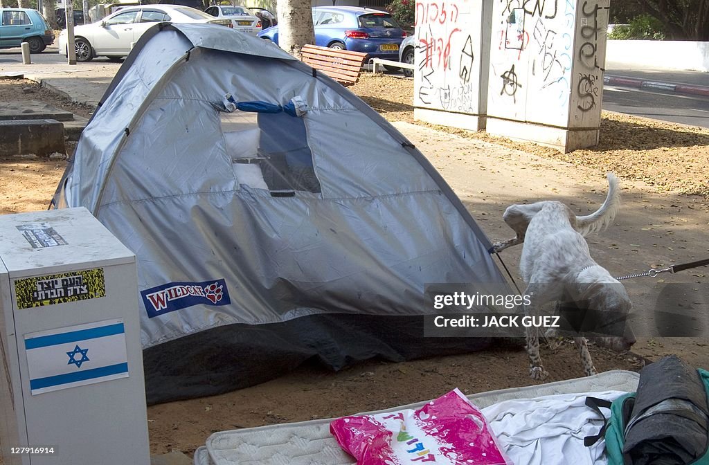 A dog urinates on a tent part of a camp