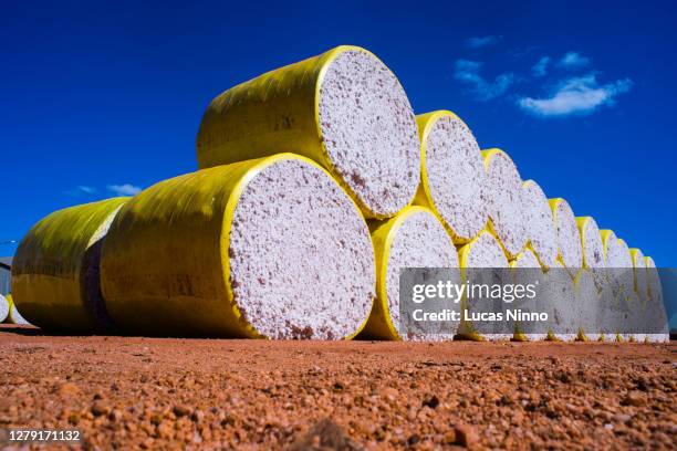 stacked cotton bales in a farm - bal odlad bildbanksfoton och bilder