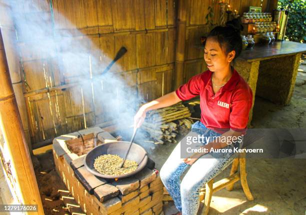 woman preparing roasted luwak coffee in ubud in bali - civet coffee in indonesia stock pictures, royalty-free photos & images