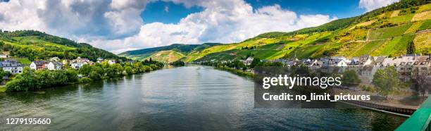 steiler weinberg entlang der mosel in deutschland - fluss mosel stock-fotos und bilder