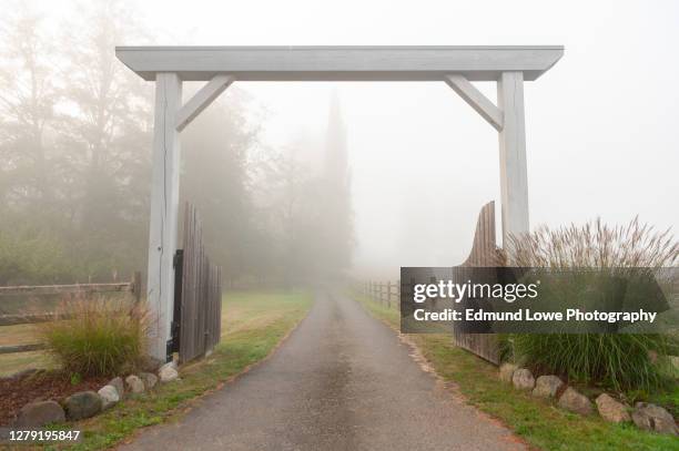 atmospheric entrance to a farm on a foggy morning in the pacific northwest. - pacific islands - fotografias e filmes do acervo