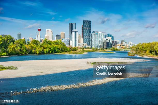 skyline von calgary bow river alberta kanada - fluss bow river stock-fotos und bilder