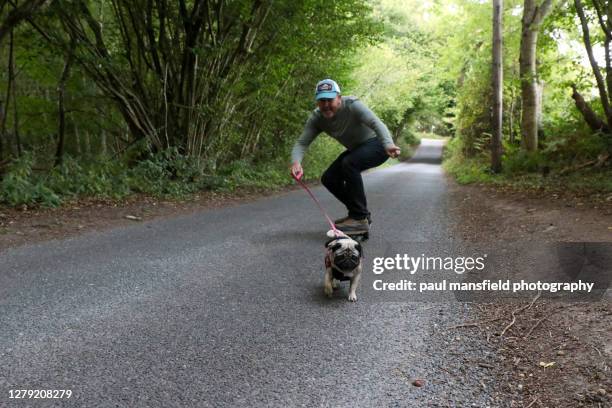 man on skateboard with dog - möpse stock-fotos und bilder