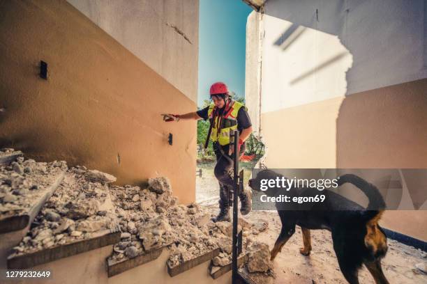 rescuer search with help of rescue dog stock photo - search and rescue dog earthquake stock pictures, royalty-free photos & images