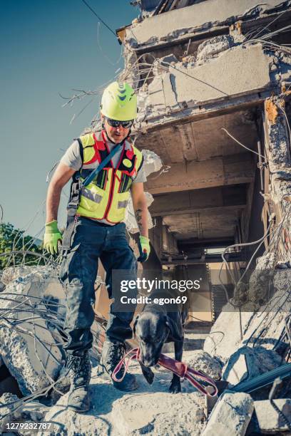 rettersuche mit hilfe von rettungshund-lagerfoto - rettungshund stock-fotos und bilder