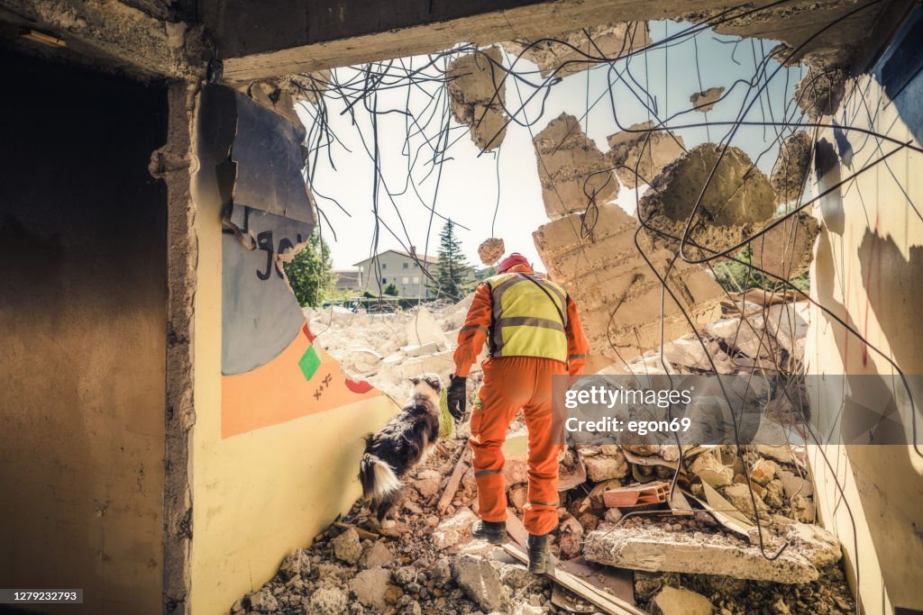 Rescuer search with help of rescue dog stock photo