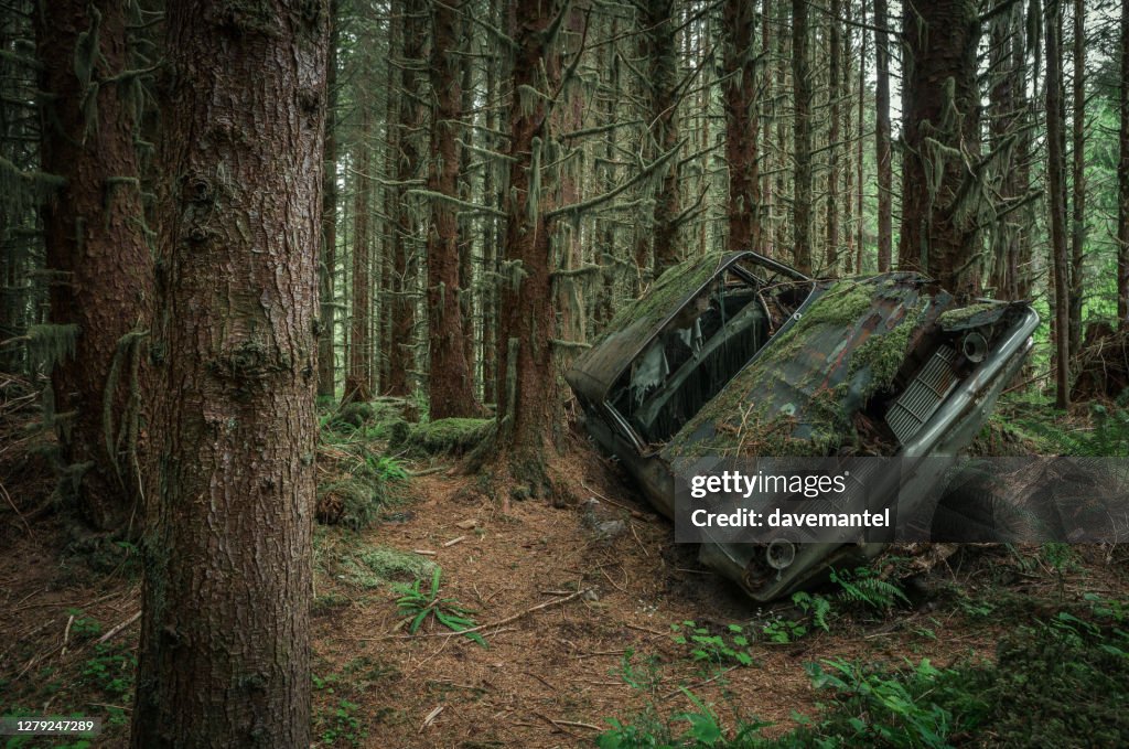 Old Abandoned Vehicle in the Forest