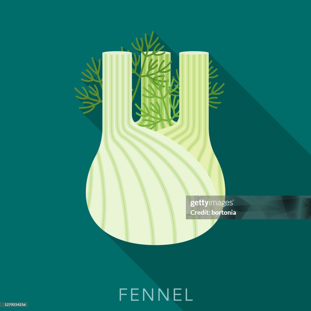 Fennel Herb and Spice Icon