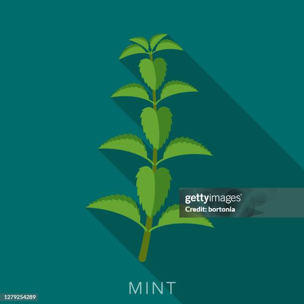 1 040点のミントイラスト素材 Getty Images 1 040点のミントイラスト素材 Getty Images