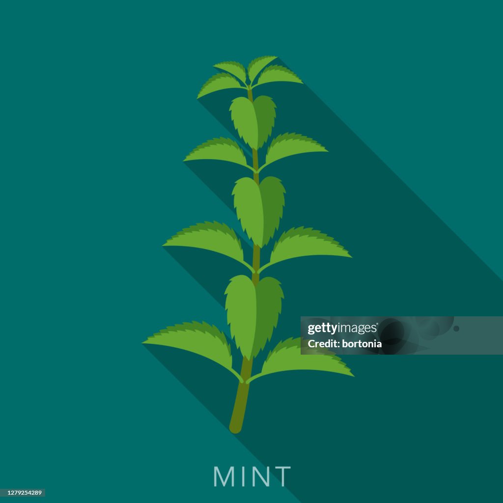 Mint Herb and Spice Icon