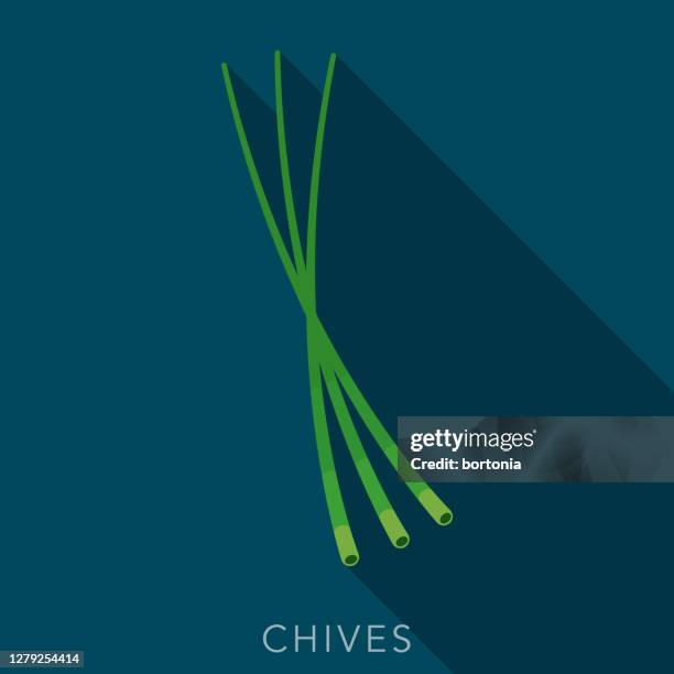 chives herb and spice icon - chiave stock illustrations