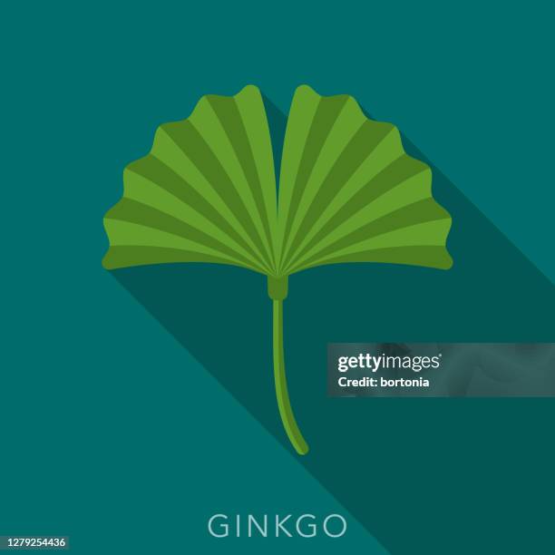 ginkgo herb and spice icon - ginkgo vector stock illustrations
