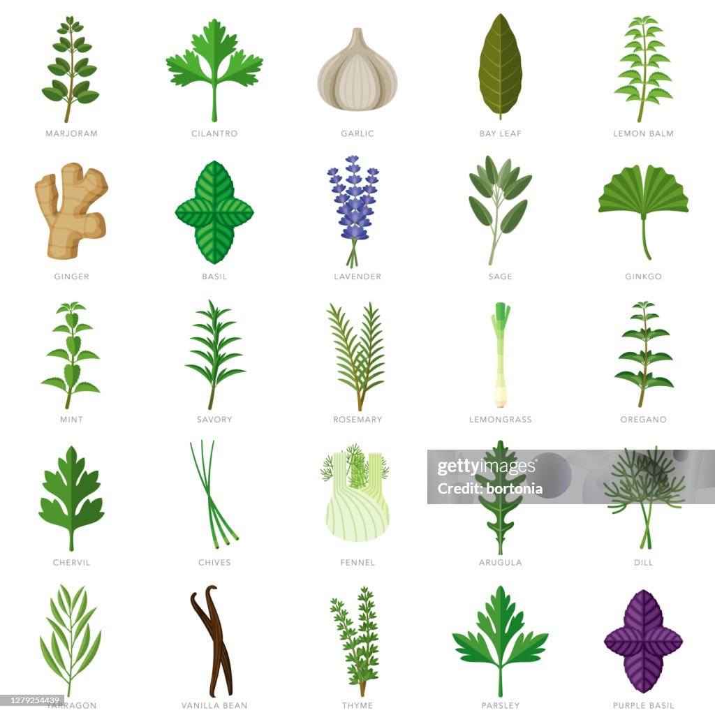 Kräuter und Gewürze Icon Set