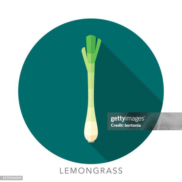 lemongrass herb and spice icon - lemongrass stock illustrations