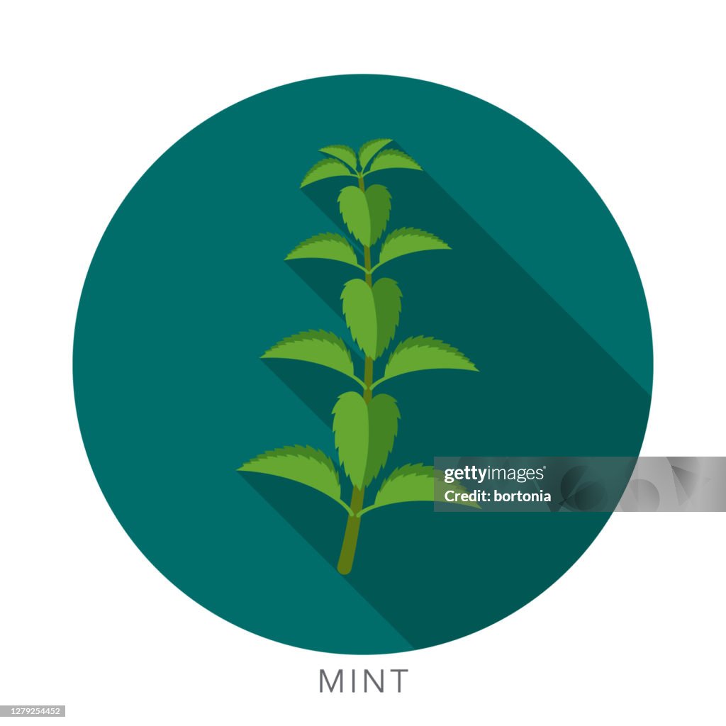 Mint Herb and Spice Icon