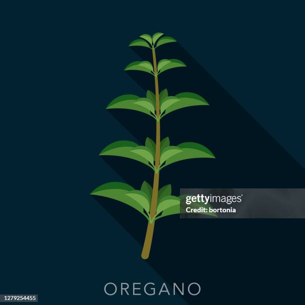 oregano herb and spice icon - oregano stock illustrations