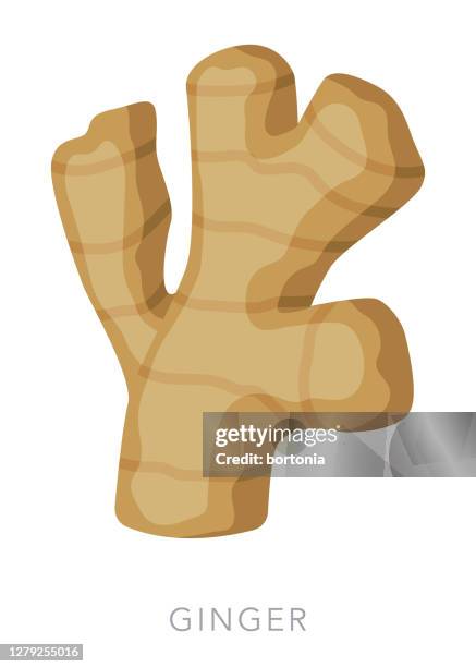 stockillustraties, clipart, cartoons en iconen met gemberkruid en spice-icoon - gember