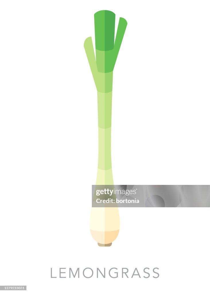 Lemongrass Herb and Spice Icon