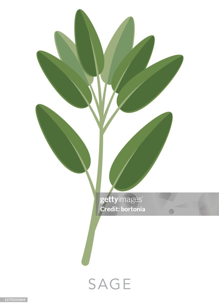 セージハーブとスパイスアイコン