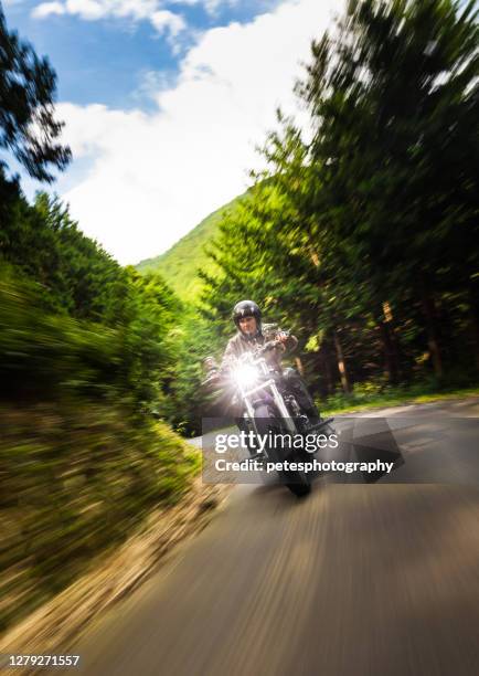 crociera in moto nella foresta di montagna - harley davidson foto e immagini stock