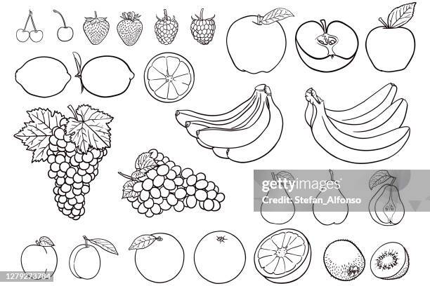 ilustraciones, imágenes clip art, dibujos animados e iconos de stock de dibujos simples de fruta para colorear libros - fruit illustration