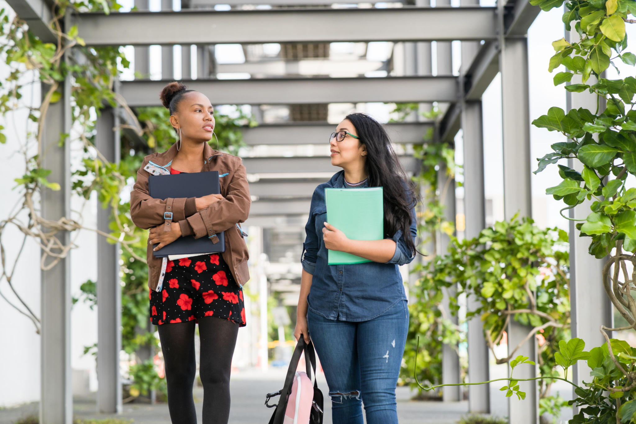 students studying new zealand