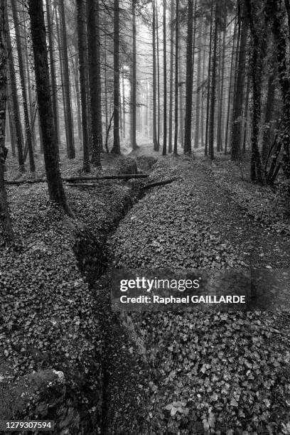 Tranchée allemande, en face à 200 mètres les tranchées françaises, 3 octobre 2018, près de Verdun, France.