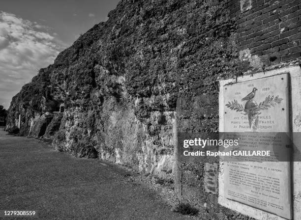 Plaque commémorant le dernier pigeon voyageur Vaillant matricule 787-15 du commandant Reynal parti pendant la bataille de Verdun, fort de Vaux, 19...