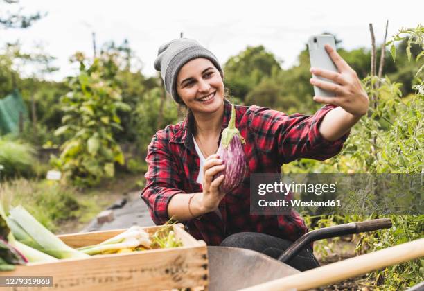 young woman taking selfie with eggplant in vegetable garden - photographing garden stock pictures, royalty-free photos & images