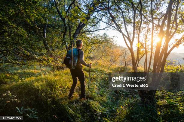 male hiker with backpack and hiking pole walking in forest, orobie, lecco, italy - hiking pole foto e immagini stock