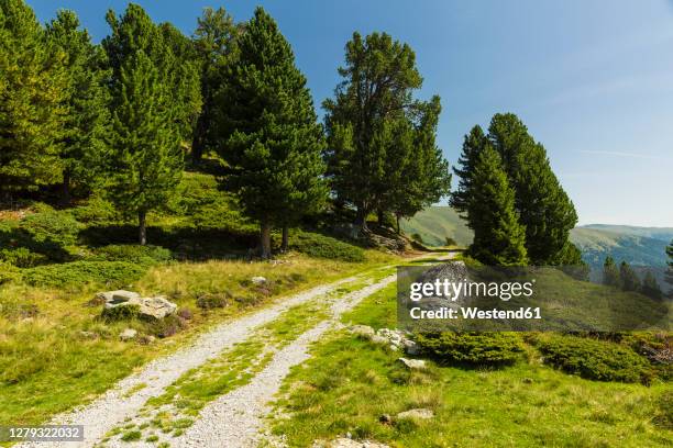 gravel road in european alps during summer - carinthia 個照片及圖片檔