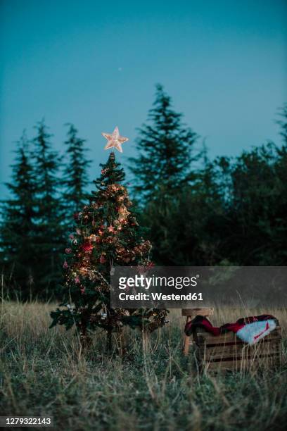 illuminated christmas tree on grassy land against clear sky at dusk - skybox stockfoto's en -beelden