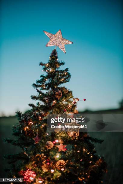 close-up of christmas tree with star shaped topper against clear sky at dusk - tree topper stock pictures, royalty-free photos & images