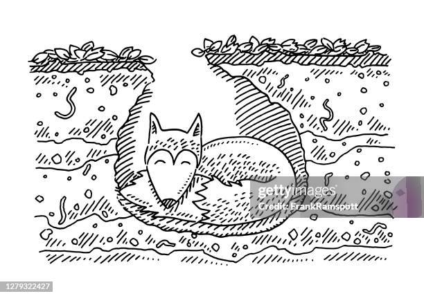 sleeping cartoon fox in a cave drawing - cross section earth stock illustrations