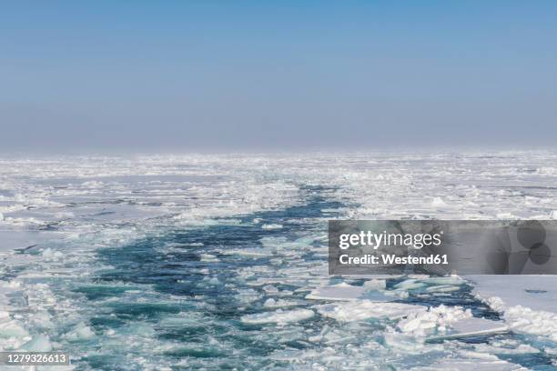 broken ice floating in arctic ocean - arctic ocean stock pictures, royalty-free photos & images