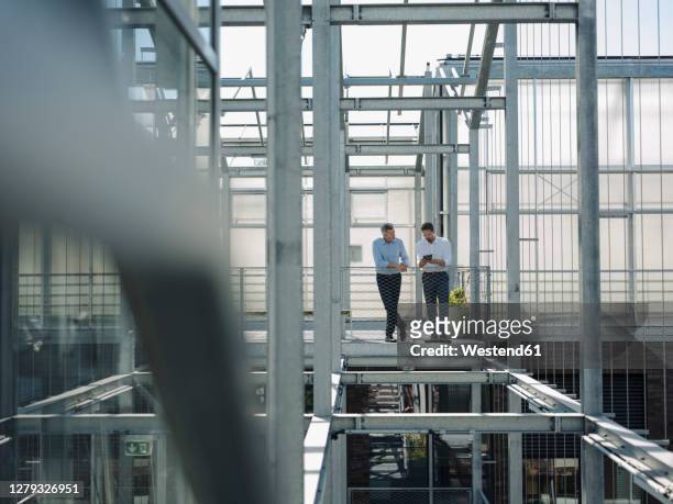 male colleagues discussing while standing on built structure in greenhouse - sustainable development goals stock pictures, royalty-free photos & images