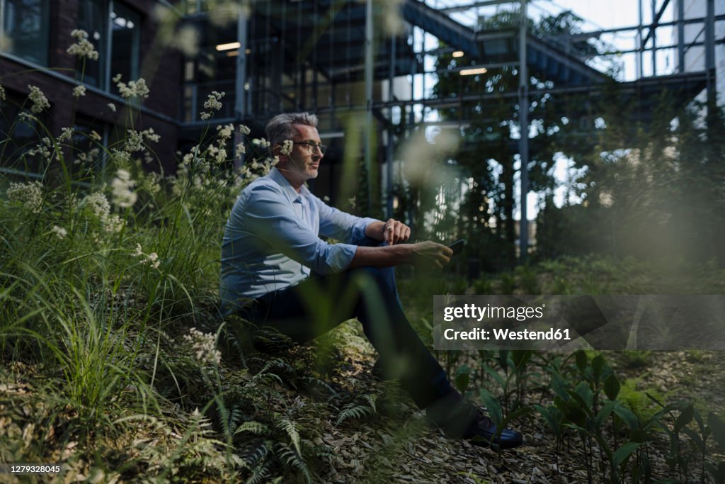 Thoughtful businessman sitting amidst plants on land