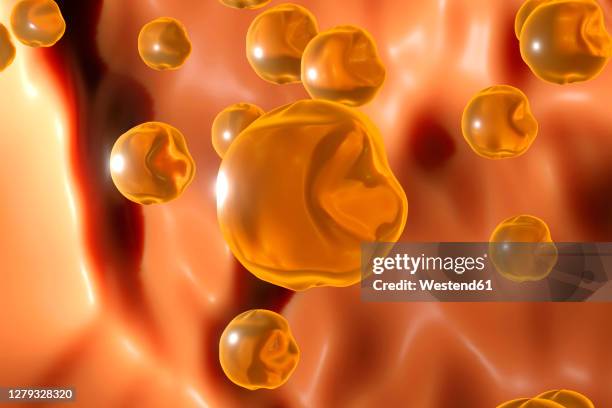 three dimensional render of cholesterol molecules floating in human body - cholesterol stock illustrations