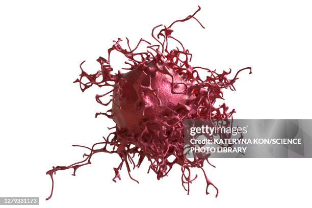 cervical cancer cell, illustration - cancer stock-grafiken, -clipart, -cartoons und -symbole