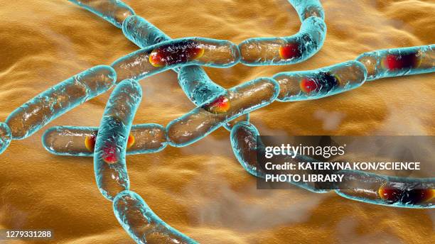 Internal Anthrax Anthrax Photos and Premium High Res Pictures - Getty Images