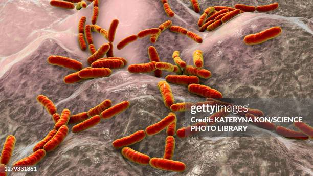 lactobacillus bacteria, illustration - micro organisme stock illustrations