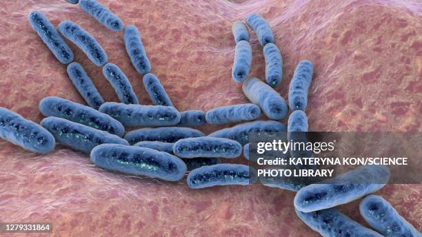 ilustrações de stock, clip art, desenhos animados e ícones de lactobacillus bacteria, illustration - ácido láctico