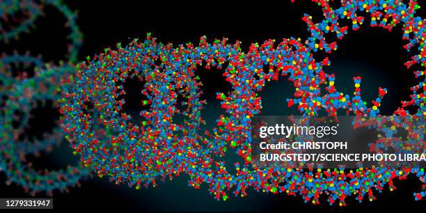 ribonucleic acid chain , illustration - nucleotide stock pictures, royalty-free photos & images