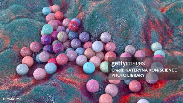 staphylococci bacteria, illustration - staphylococcus stock illustrations