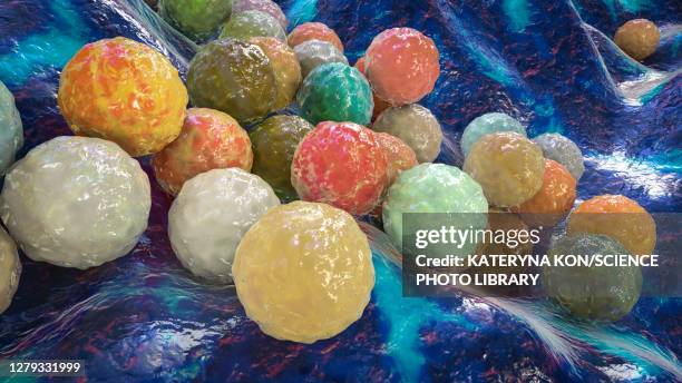 staphylococci bacteria, illustration - staphylococcus stock illustrations