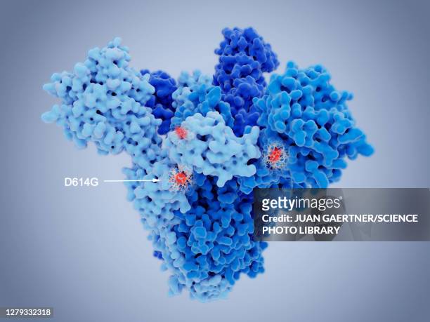 sars-cov-2 virus spike protein and mutation, illustration - juan corona stock illustrations