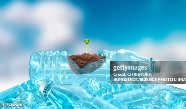 plant germinating from plastic bottle, illustration - sprout stock illustrations
