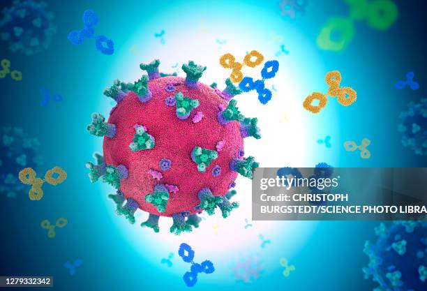 antibodies attacking virus particle, illustration - antigen stock illustrations